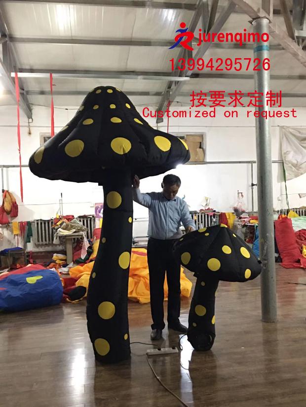 Ģģ  װ ưɶ 